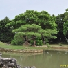 09-08-28-okinawa-tokyo-1172