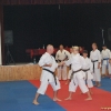 Roštín 2010 - kata bunkai