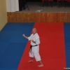 Roštín 2010 - kata