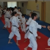 Roštín 2010 - ranzoku kumite Gekisai